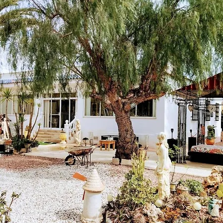 Villa Lujo Elche